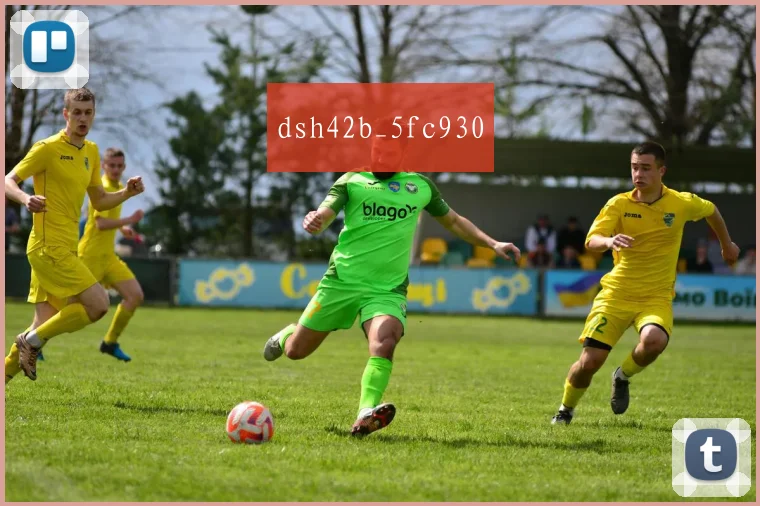dsh42b_5fc930