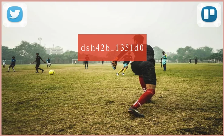 dsh42b_1351d0