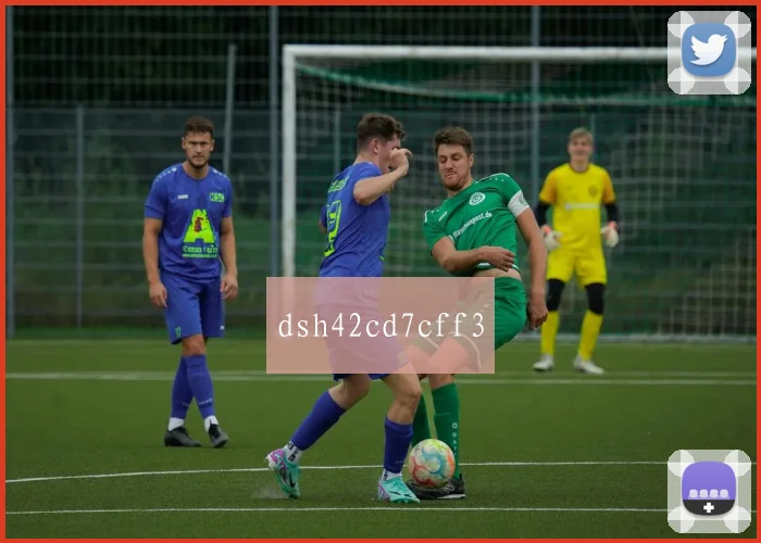 dsh42cd7cff3