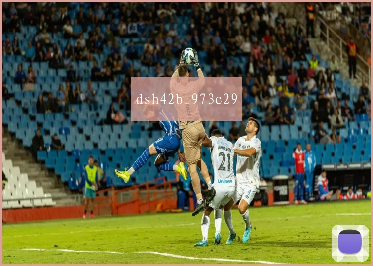 dsh42b_973c29