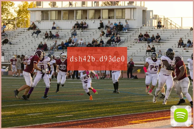 dsh42b_d93de0