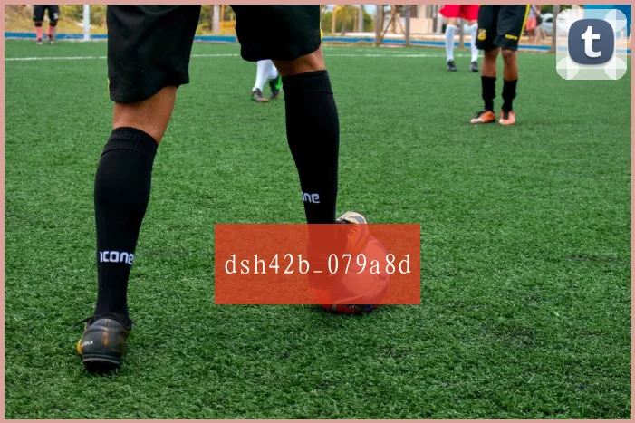 dsh42b_079a8d