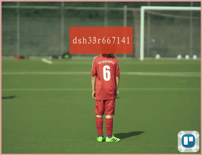 dsh33r667141